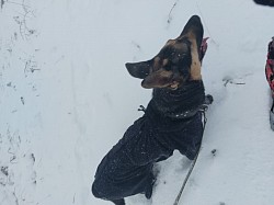 Закаляемся