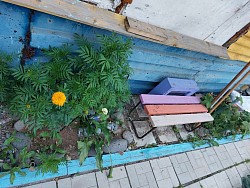 Сидим и дышим глубоко грудью и не забываем выдыхать