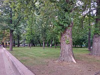 Дышим кислородом