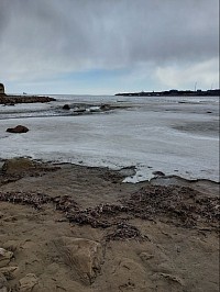 Море. П. Токи. Весна 24